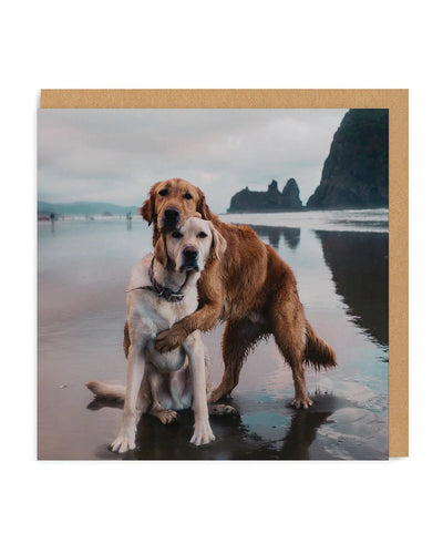 Beach Dogs Hug Greeting Card - Hauslife