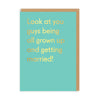 Look At You Guys Greeting Card - Hauslife